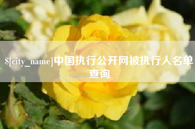 沅江中国执行公开网被执行人名单查询