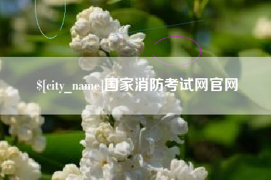 沅江国家消防考试网官网