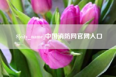 沅江中国消防网官网入口