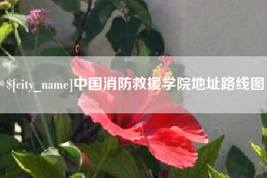 沅江中国消防救援学院地址路线图