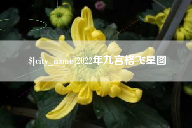 沅江2022年九宫格飞星图