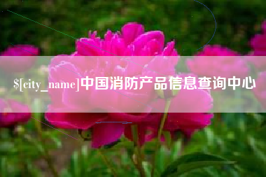 沅江中国消防产品信息查询中心