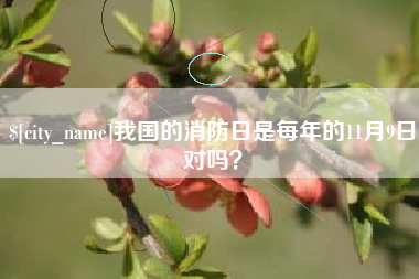 沅江我国的消防日是每年的11月9日对吗？