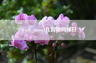沅江九宫如何排日