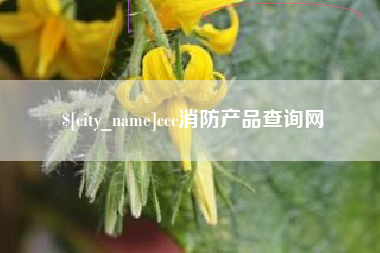 沅江ccc消防产品查询网