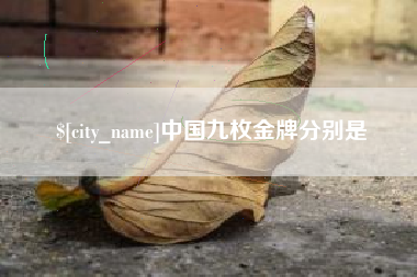 沅江中国九枚金牌分别是