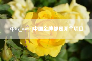 沅江中国金牌都是哪个项目