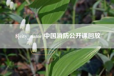 沅江中国消防公开课回放