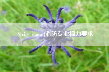 沅江消防专业视力要求