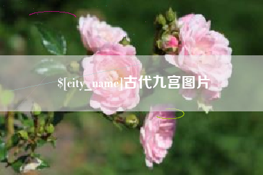 沅江古代九宫图片