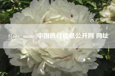 沅江中国执行信息公开网 网址