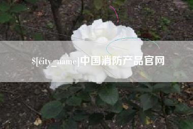 沅江中国消防产品官网