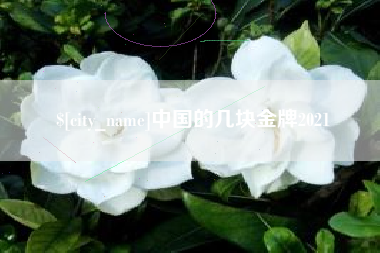 沅江中国的几块金牌2021