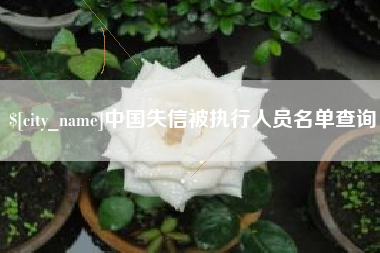 沅江中国失信被执行人员名单查询
