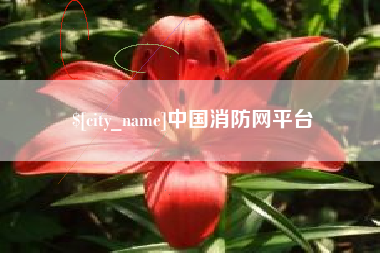沅江中国消防网平台