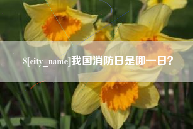 沅江我国消防日是哪一日？