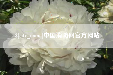 沅江中国消防网官方网站