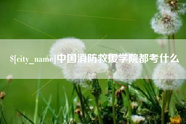 沅江中国消防救援学院都考什么