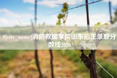 沅江消防救援学院山东招生录取分数线2020