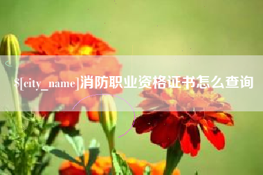 沅江消防职业资格证书怎么查询