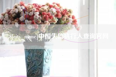 沅江中国失信执行人查询官网