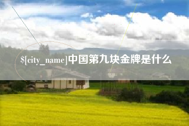 沅江中国第九块金牌是什么