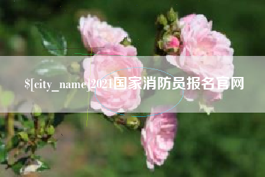 沅江2021国家消防员报名官网