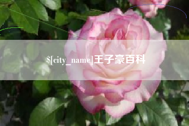 沅江王子豪百科
