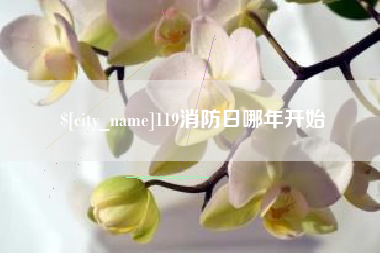沅江119消防日哪年开始