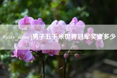 沅江男子五千米世界冠军奖金多少