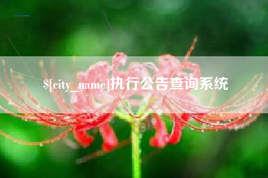 沅江执行公告查询系统