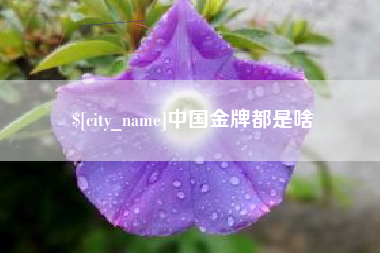 沅江中国金牌都是啥