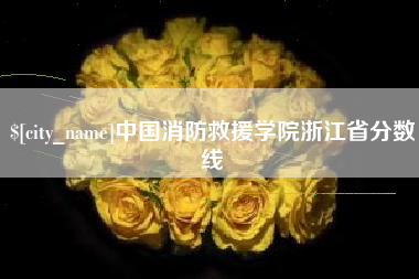 沅江中国消防救援学院浙江省分数线