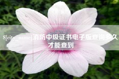 沅江消防中级证书电子版查询多久才能查到
