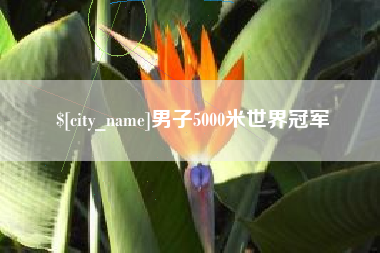 沅江男子5000米世界冠军