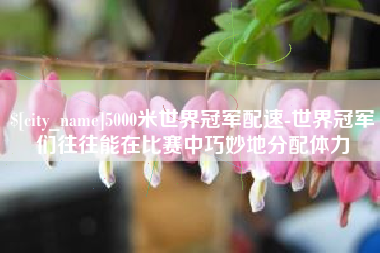 沅江5000米世界冠军配速-世界冠军们往往能在比赛中巧妙地分配体力