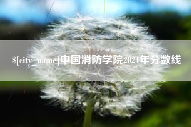 沅江中国消防学院2024年分数线