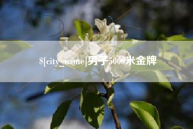 沅江男子5000米金牌