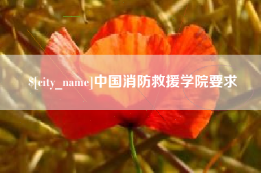 沅江中国消防救援学院要求