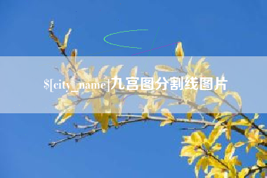 沅江九宫图分割线图片