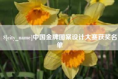 沅江中国金牌图案设计大赛获奖名单