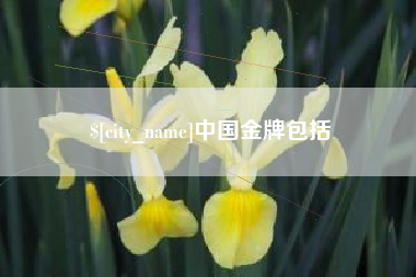 沅江中国金牌包括