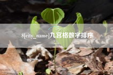沅江九宫格数字排序