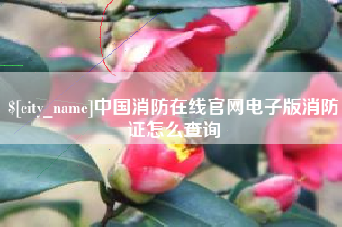 沅江中国消防在线官网电子版消防证怎么查询