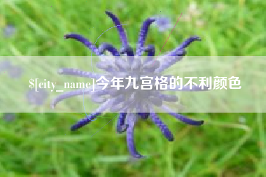 沅江今年九宫格的不利颜色