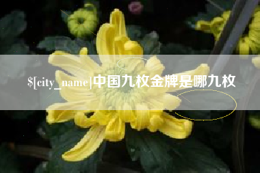 沅江中国九枚金牌是哪九枚