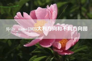 沅江2025大利方向和不利方向图