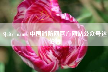 沅江中国消防网官方网站公众号达伦特