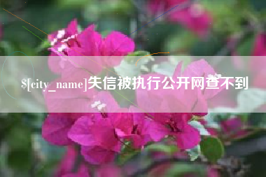 沅江失信被执行公开网查不到