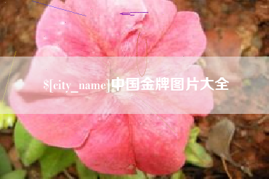 沅江中国金牌图片大全